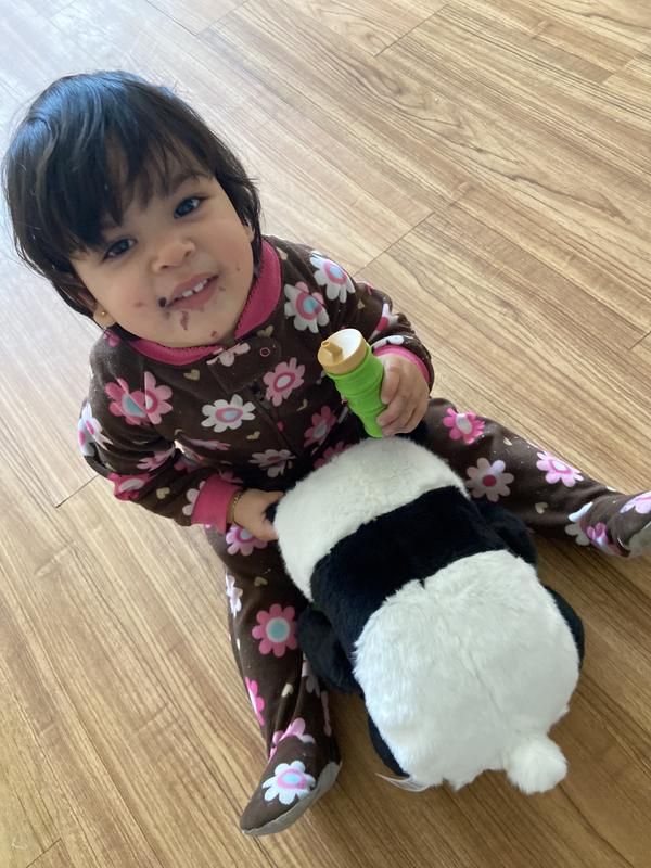 Photo - commentaire&nbsp;8.