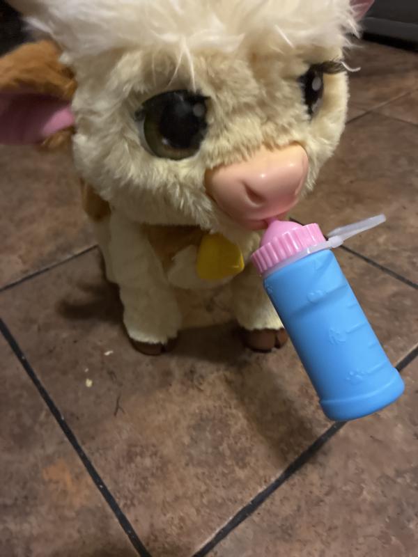 Photo - commentaire 2.