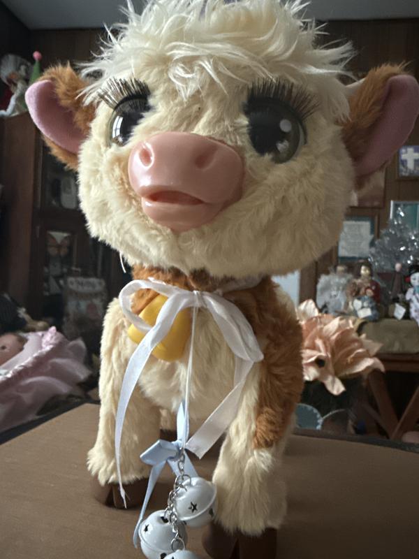 Photo - commentaire&nbsp;1.