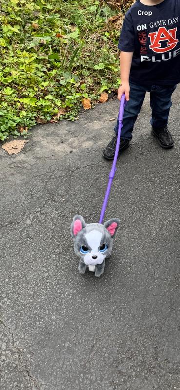 Photo - commentaire 2.