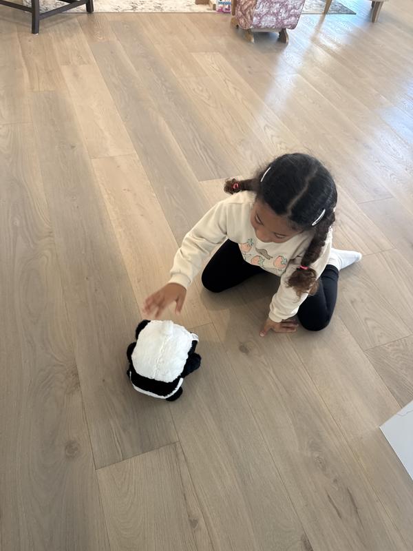 Photo - commentaire&nbsp;3.