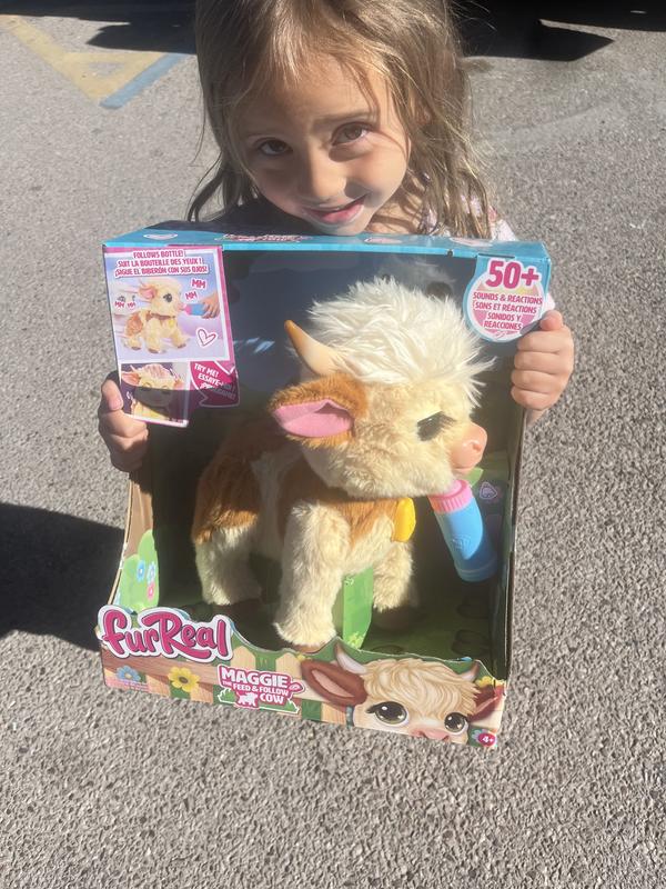 Photo - commentaire 7.