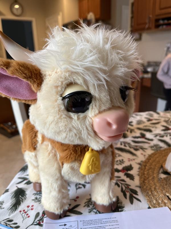 Photo - commentaire&nbsp;2.