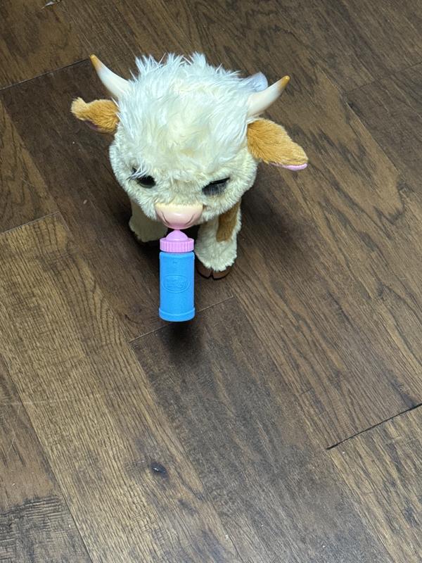 Photo - commentaire 4.