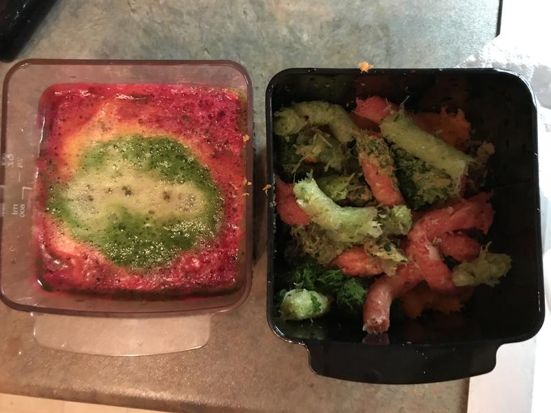 Omega H3000R Horizontal Slow Juicer in Black Bed Bath and Beyond Canada