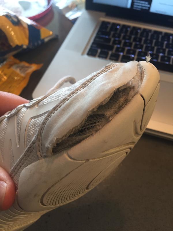 chasse apex cheer shoes