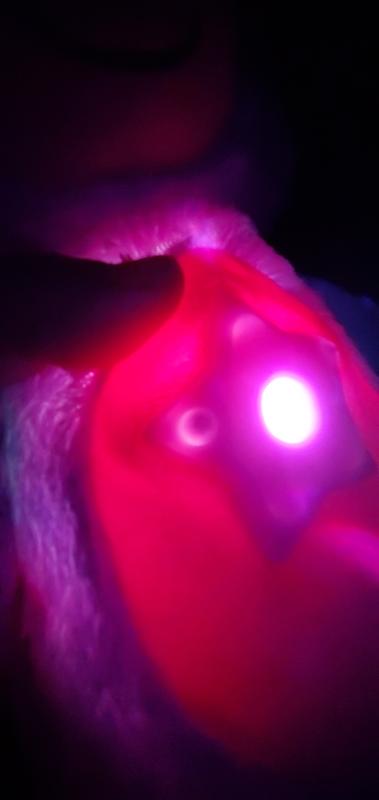 Not sure if you can see the buttons