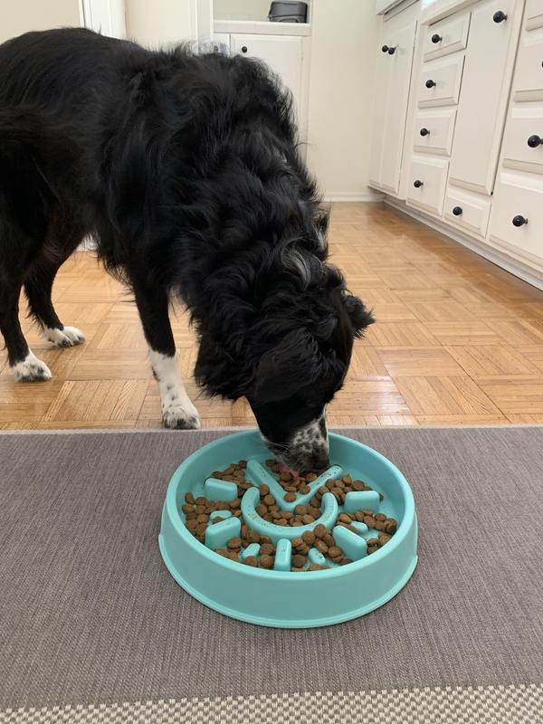 Benepaw Slow Feeder Dog Bowl Nontoxic Removable Pet Slow Eat Dish
