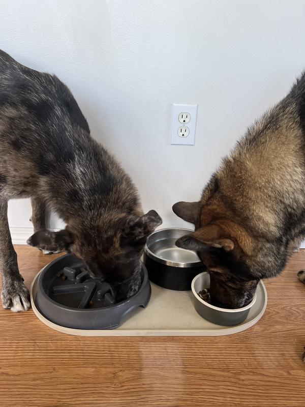 Only Natural Pet Sunup Eco-Friendly Slow-Feeder Dog Bowl, Teal / Small