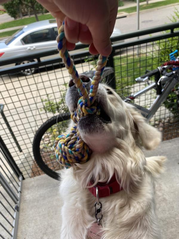 Dogs Love Our Large Cotton Tug! - Organic Cotton Tug Toy - Hand