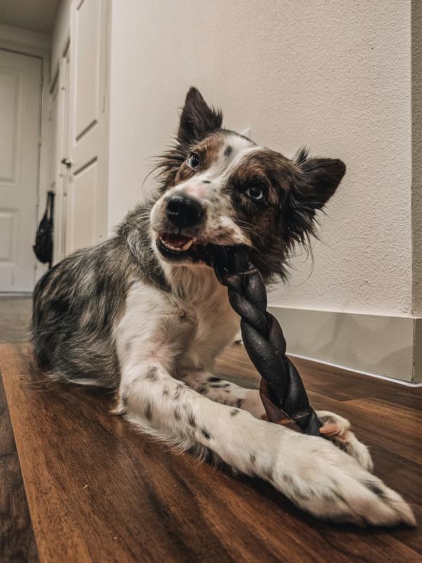 Collagen Braided Beef Stick Dog Chew