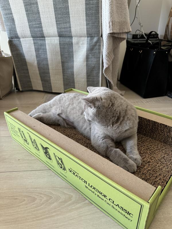 Scratch Lounge Classic Double-Sided Cat Scratcher | Only Natural Pet