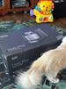 User submitted photo