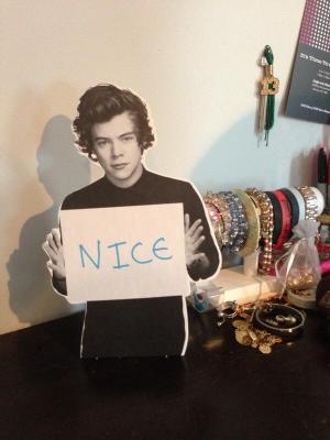 One Direction Limited Edition 1D OD Together Study Buddy Harry Nice ...