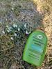 OGX Rosemary Mint Shampoo