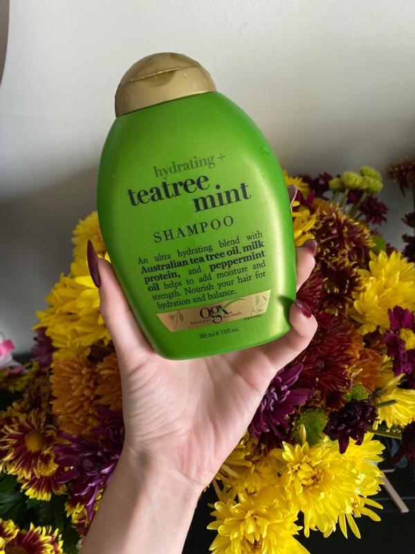 Ogx tea deals tree mint shampoo