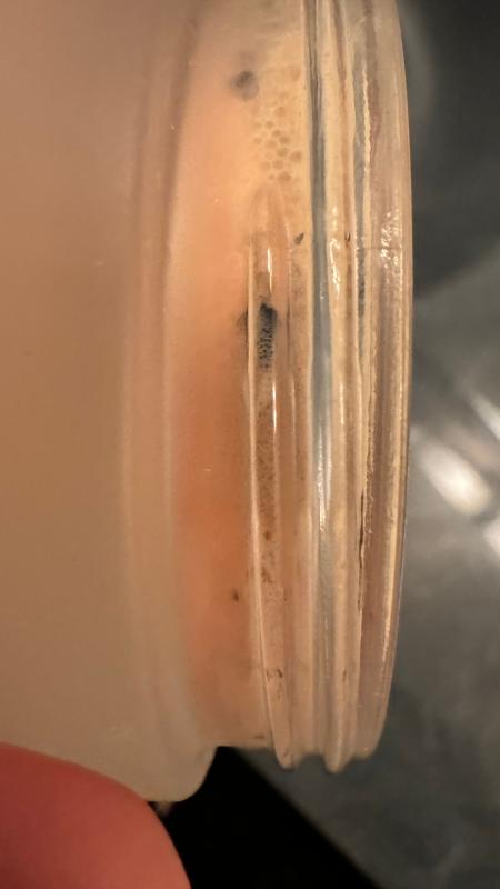 Customer photo for "Only used twice and the bottom and sides of the jar is moldy"