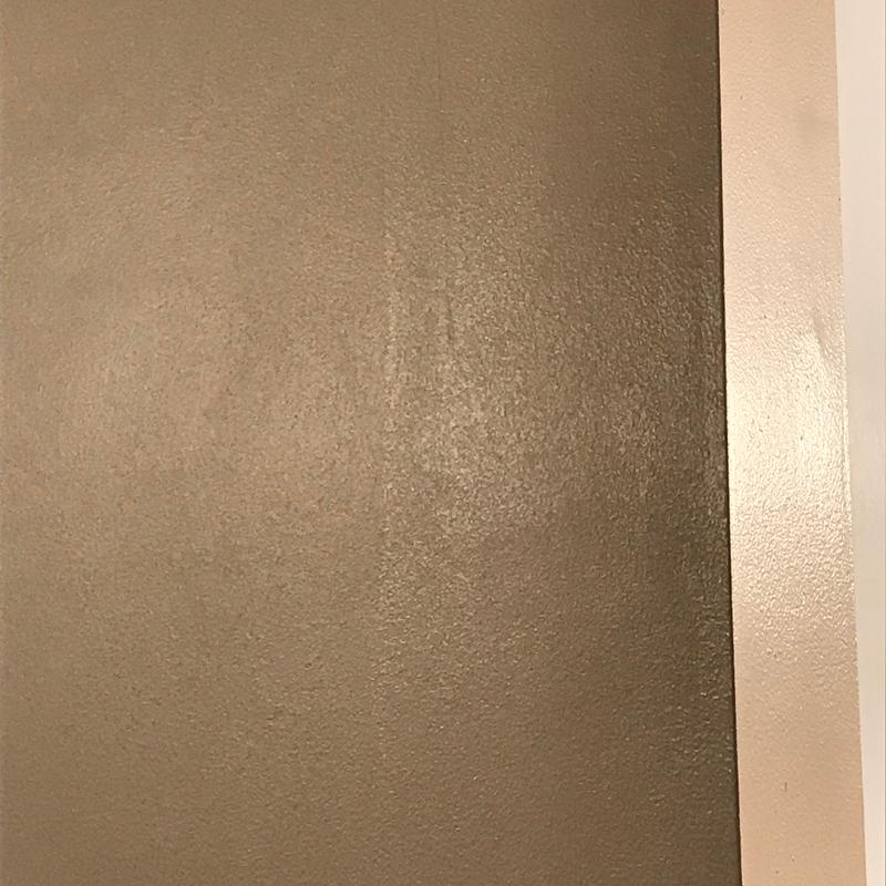 Olympic Gray Beige Interior Satin Paint Sample at