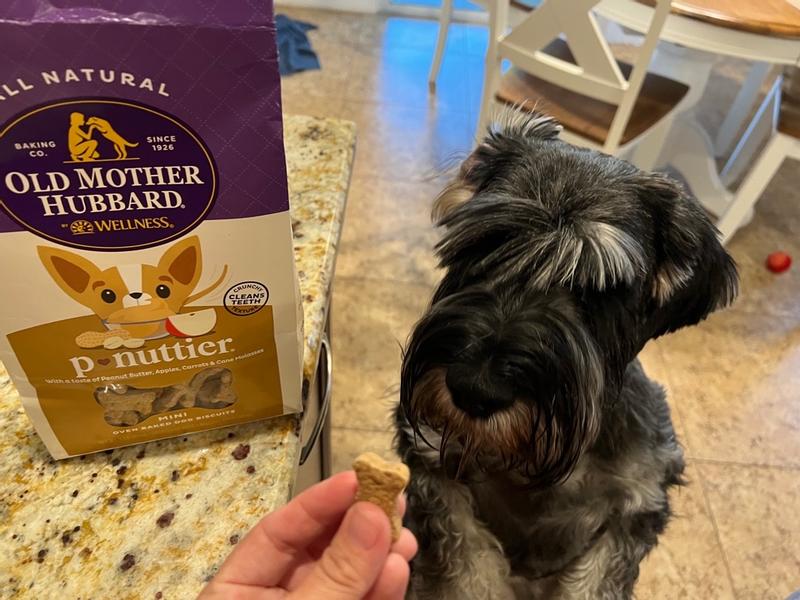 Old mother hubbard dog treats outlet reviews