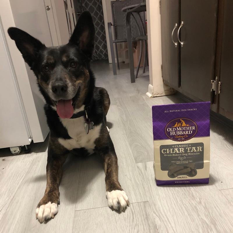 char tar dog treats
