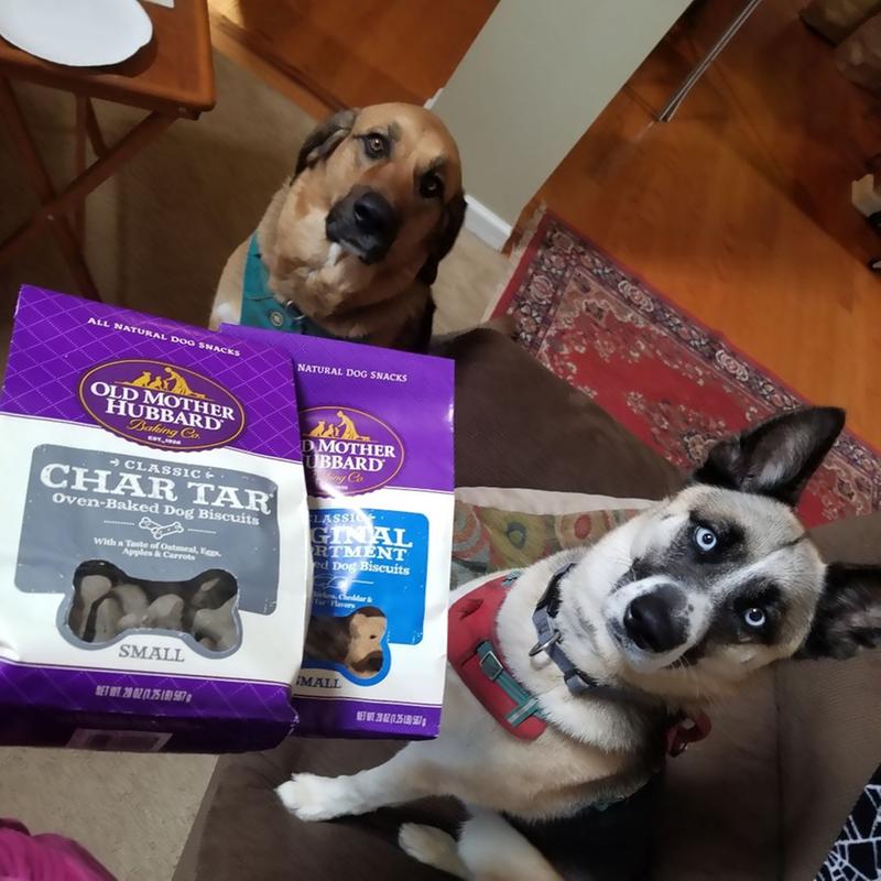 char tar dog treats