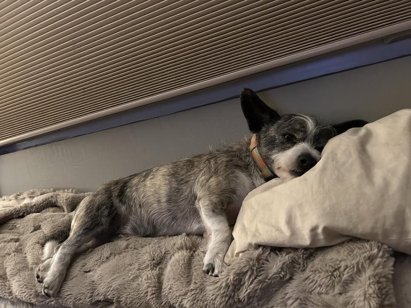 Ah… the comforts of a good place to sleep