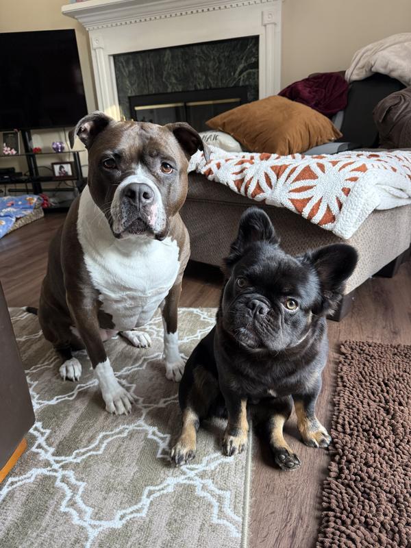 Hazel and Teddy