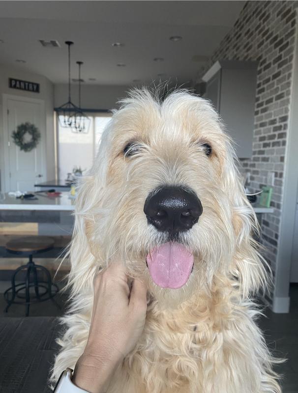 Is it dinner time yet?