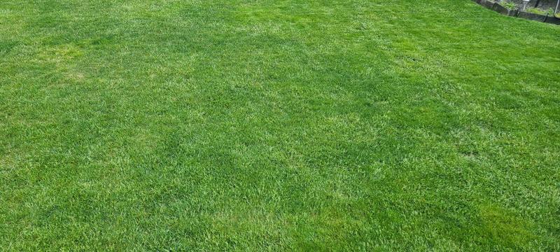 Photo - commentaire 1.