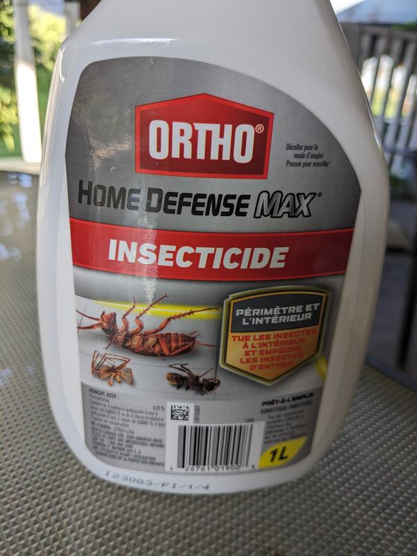 Photo - commentaire 5.