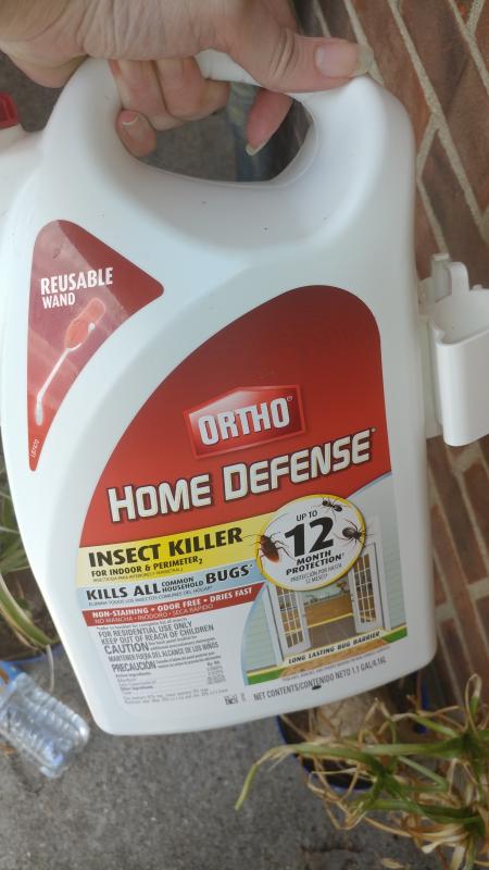 Ortho Home Defense 1.33 gal. Insect Killer for Indoor & Perimeter2 (with Comfort Wand)