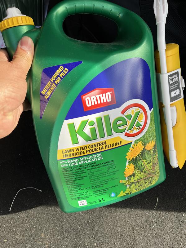 Photo - commentaire 6.