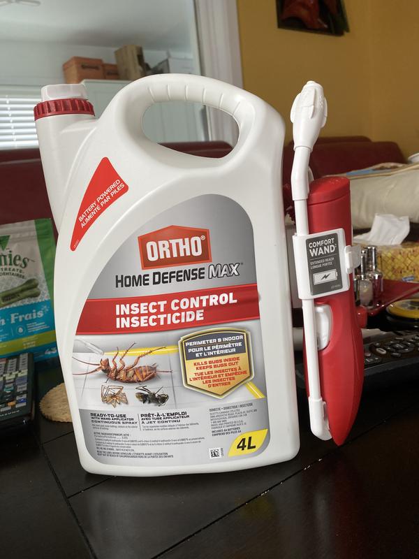 Photo - commentaire 6.