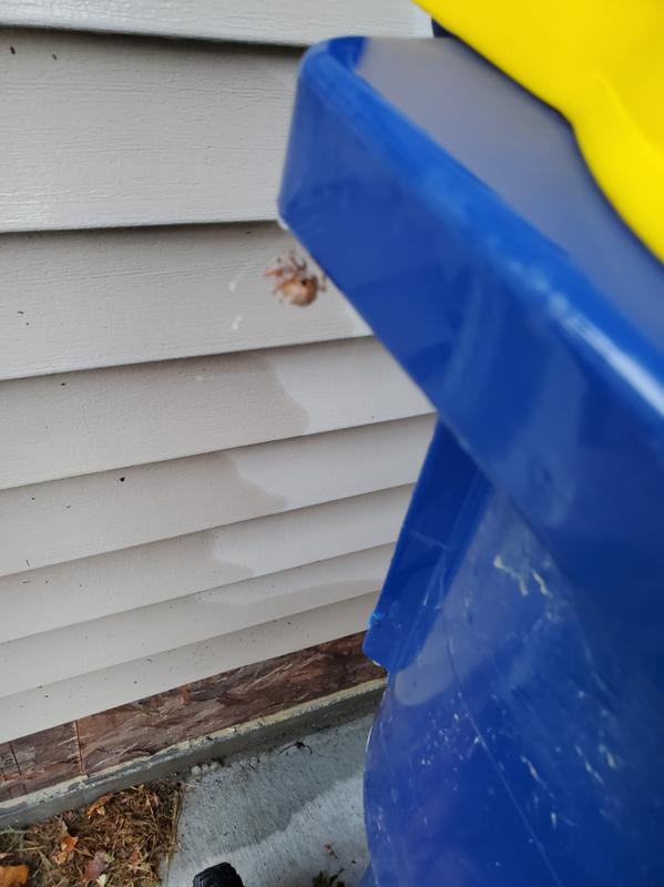 It died before I made it back around the house perimeter.