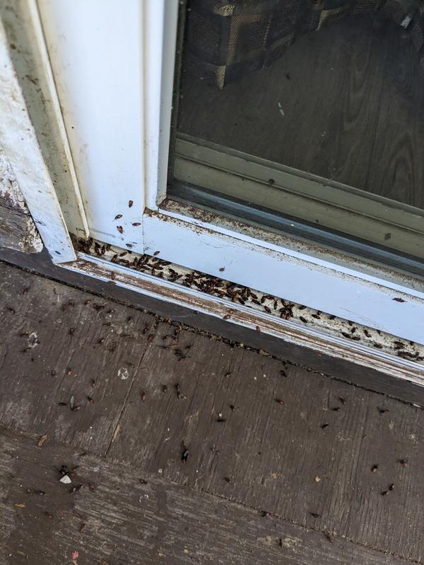 Photo - commentaire 4.