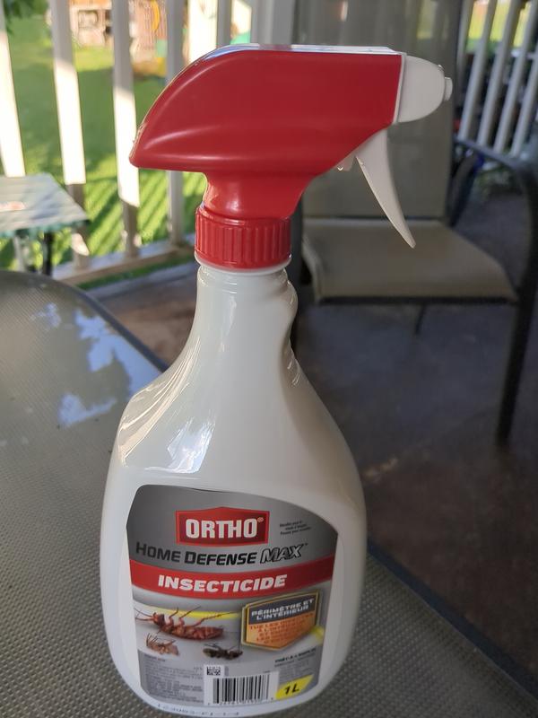 Photo - commentaire 3.