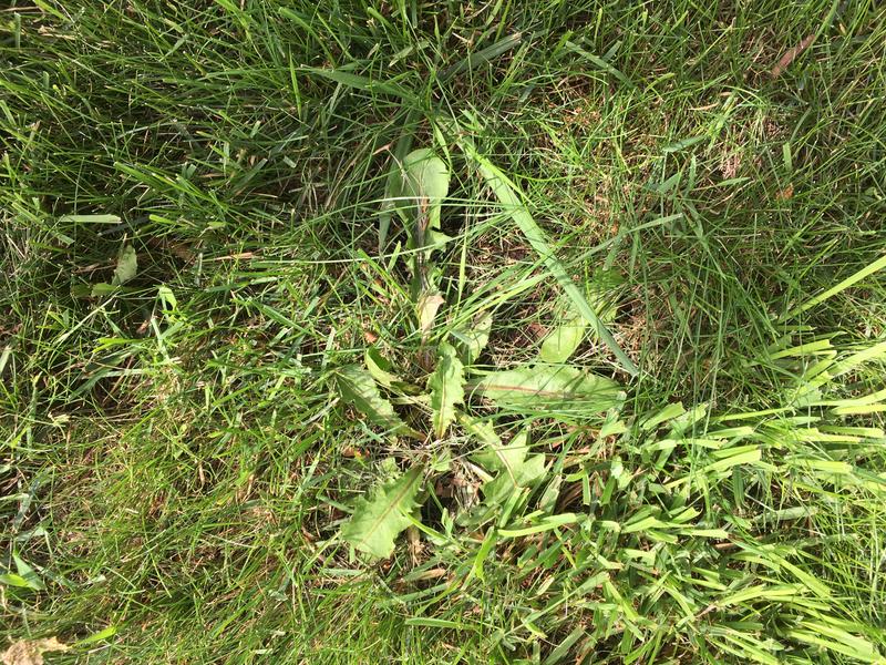 Photo - commentaire 3.