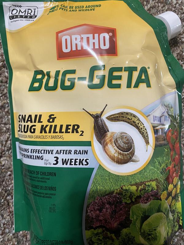 HELLOS ヘロス Snail Shelter（Charcoal Green） Mystery Snail Shell Planter 💜🌱🐌💜 #SHORTS - YouTube