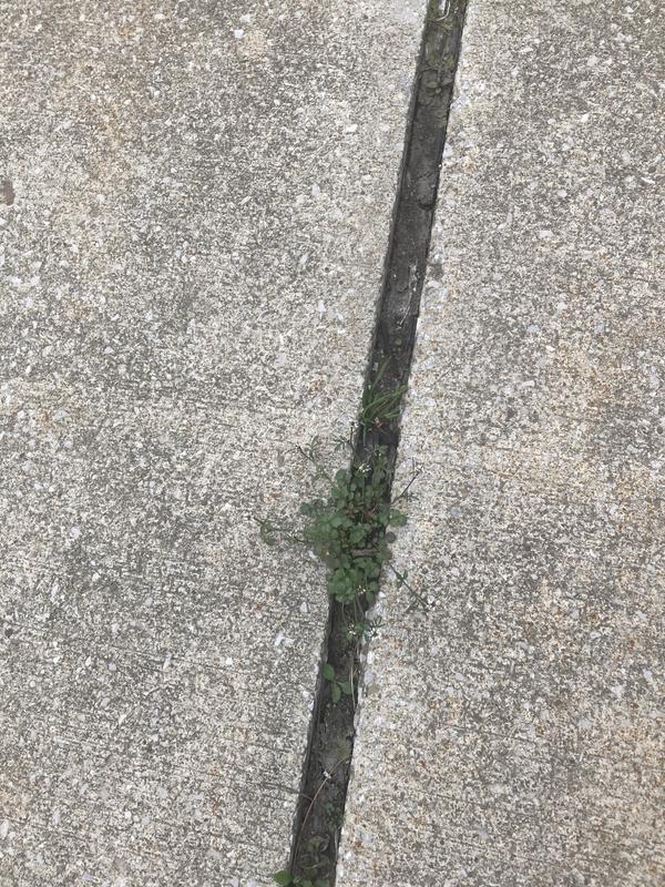 Review photo 4.