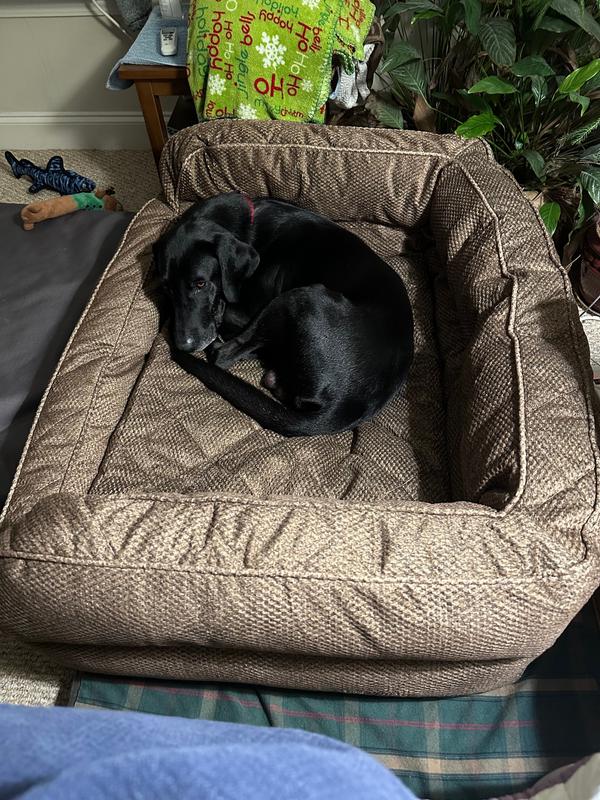 Orvis memory foam discount deep dish dog bed