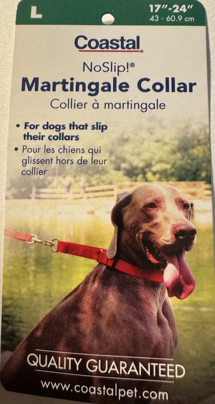 Orvis shop martingale collar