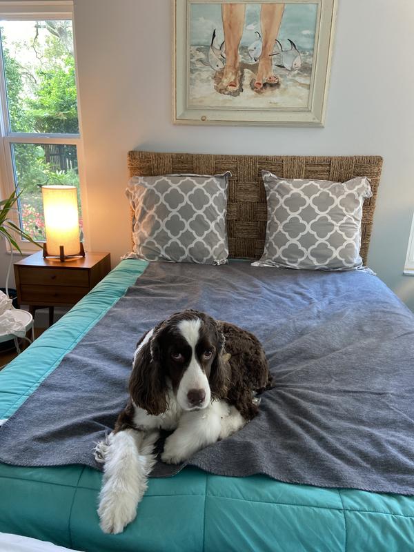 Reversible Water Resistant Dog Throw Blanket Orvis