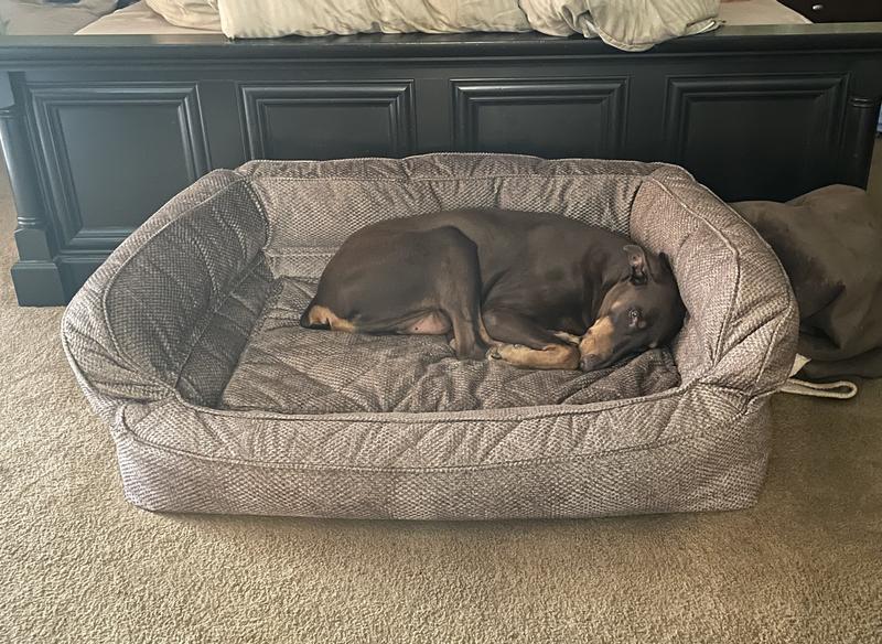 Orvis memory foam discount deep dish dog bed