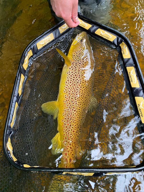 No Touch Catch-and-Release Fly-Fishing Tool