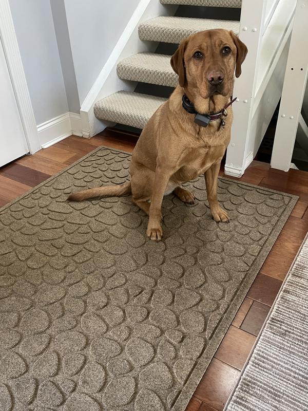 Water Trapper Mat For Dog Dishes