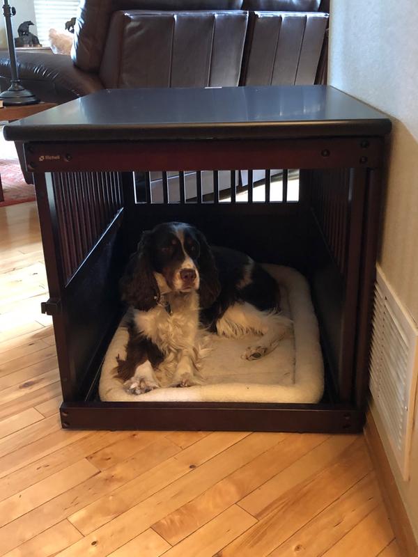 Orvis dog cheap crate