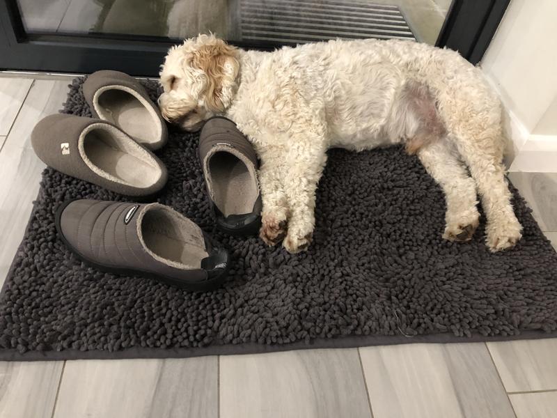 Super Absorbent Pet Doormat – Shoppect