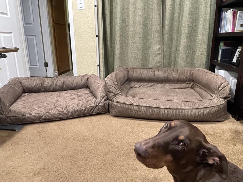 Orvis couch clearance bed