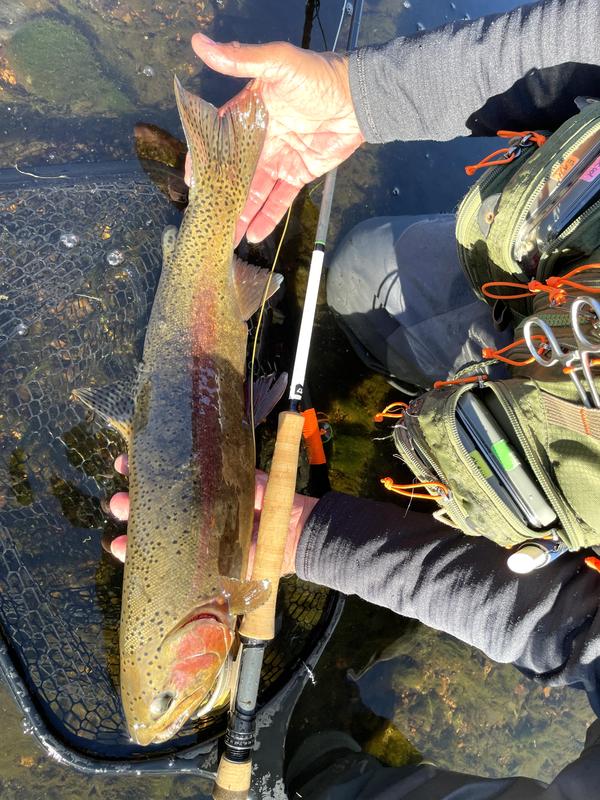 Helios™ D Fly-Fishing Rod | Orvis Helios™ D Fly-Fishing Rod | Orvis