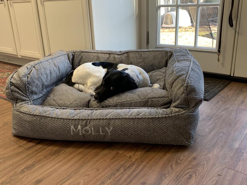 Orvis couch sale bed